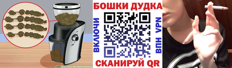 МЕГА ONION  сколько стоит  Электрогорск  Canna-Cookies марихуана 