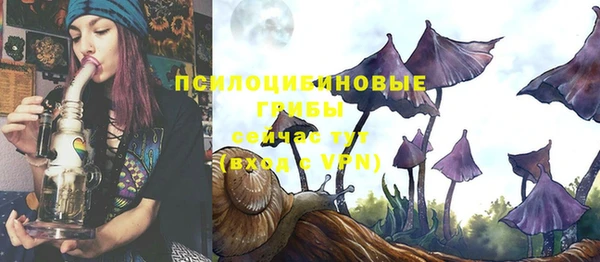 прущие грибы Осташков