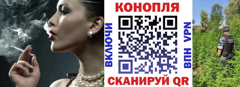 Шишки марихуана семена  Электрогорск 